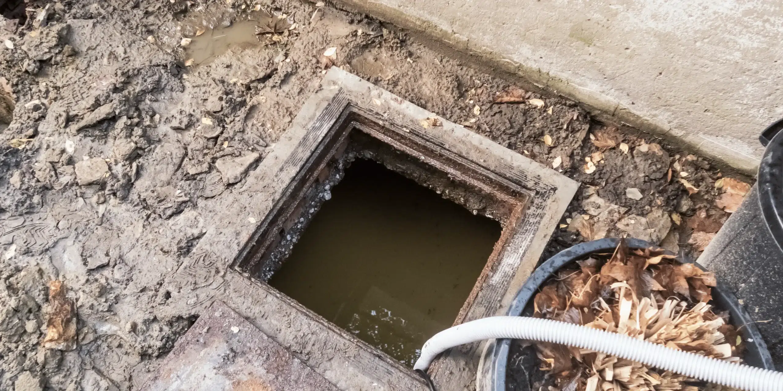 What Your Cesspool System Is Trying to Tell You